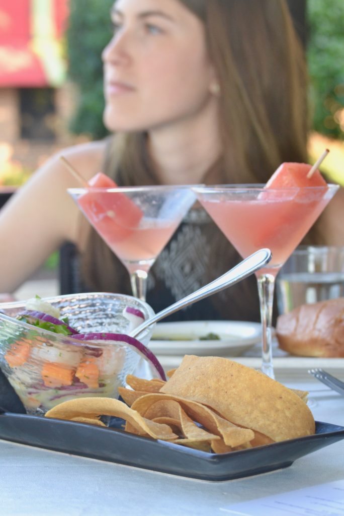 Fresh Watermelon Martini - Fridge to Fork