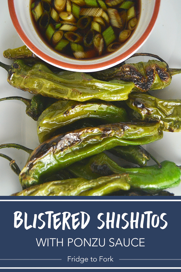 Blistered Shishito Peppers with Ponzu Sauce | Fridge to Fork